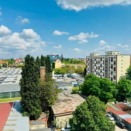 Joy Dragalina 33 * Timisoara