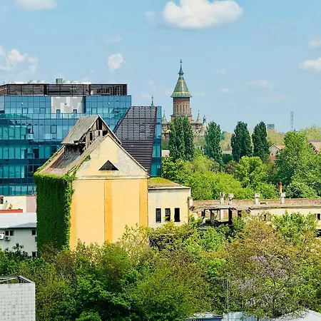 Joy Dragalina 33 * Timisoara