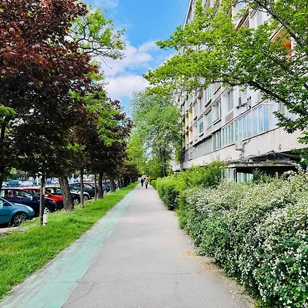 Apartment Joy Dragalina 33 Timisoara